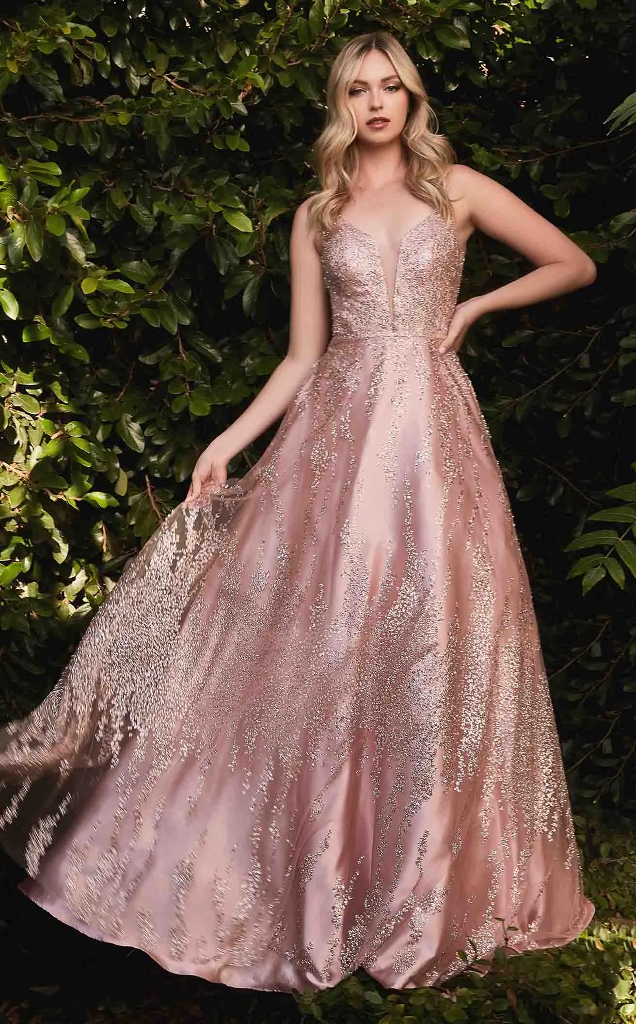 Cinderella Divine J819 Dress